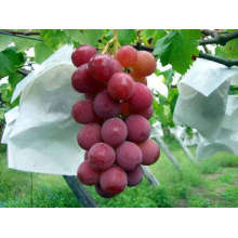 Vegetable Bags Used for Wrapping Fruit, Vegetables